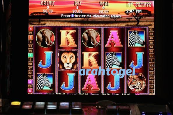 arahtogel slide 1